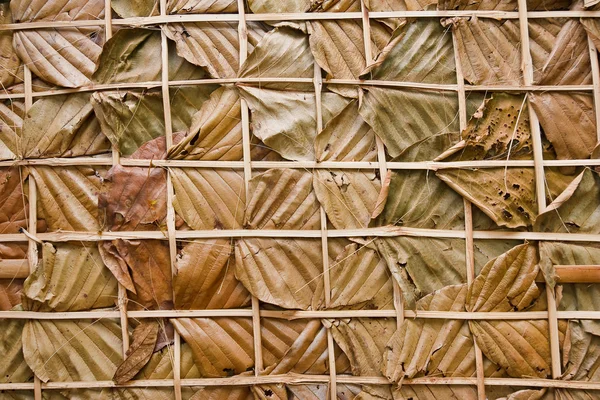 Leaf wall texture is natural wall — Stock Photo, Image