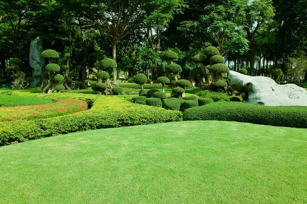 Vacker trädgård. grön gräsmatta — Stockfoto