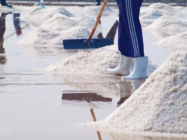 stock image Salt pan