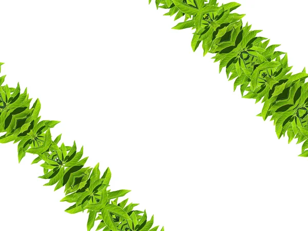 Naturalny liść zielony rama — Zdjęcie stockowe