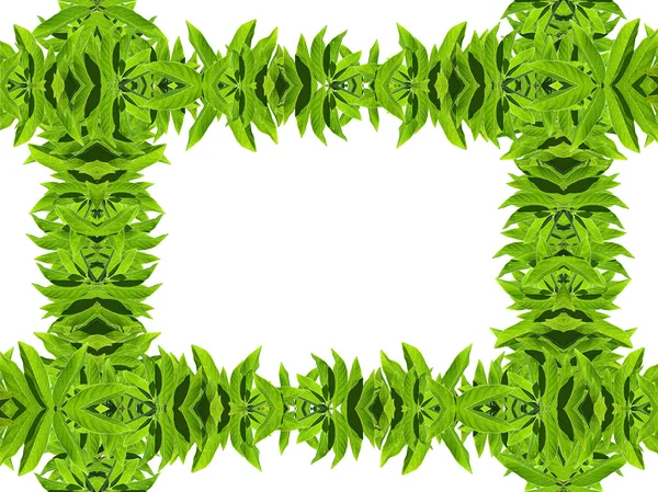 Πλαίσιο φυσικό πράσινο φύλλο — Φωτογραφία Αρχείου