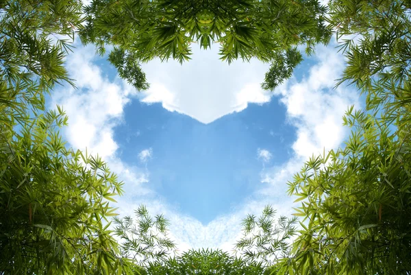 Céu de bambu — Fotografia de Stock