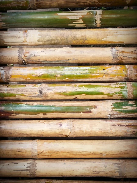 Piso de bambu — Fotografia de Stock