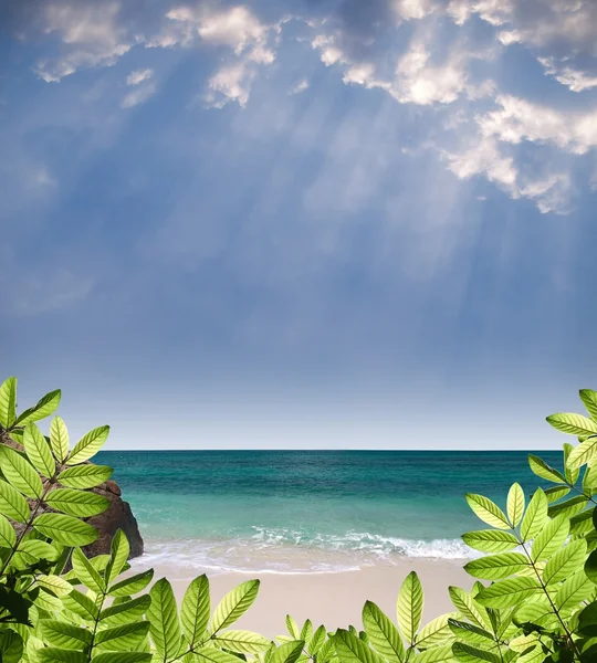 Summer paradise view — Stock Photo, Image