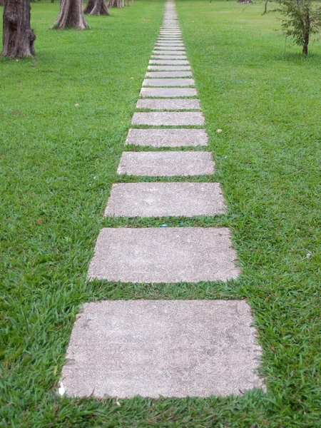 Giardino sentiero di pietra — Foto Stock