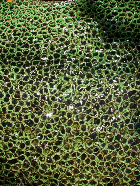 Superficie grezza bagnata verde — Foto Stock