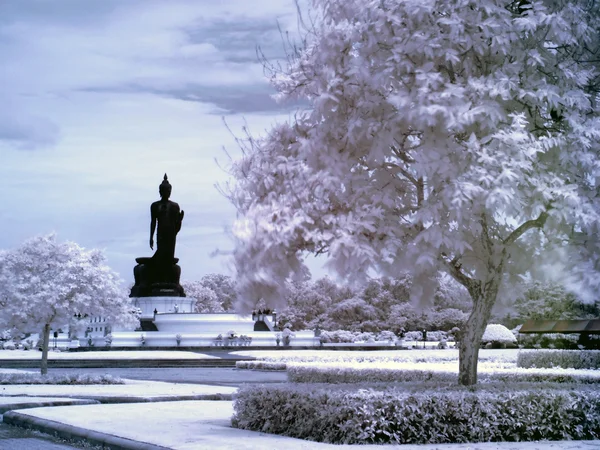 stock image Walking Buddha image