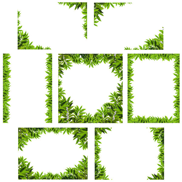Natural green leaf frame