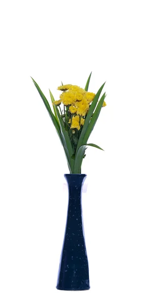 Buchet de crizanteme — Fotografie, imagine de stoc