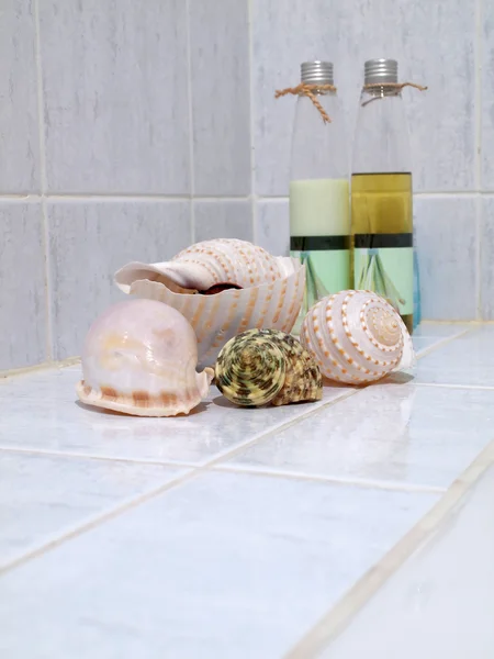 Conjunto de conchas marinas con spa — Foto de Stock