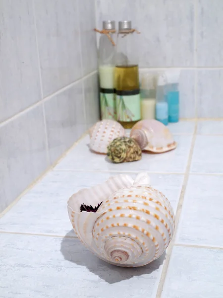 stock image Seashells with spa set