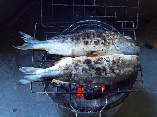 stock image Fishes roasting