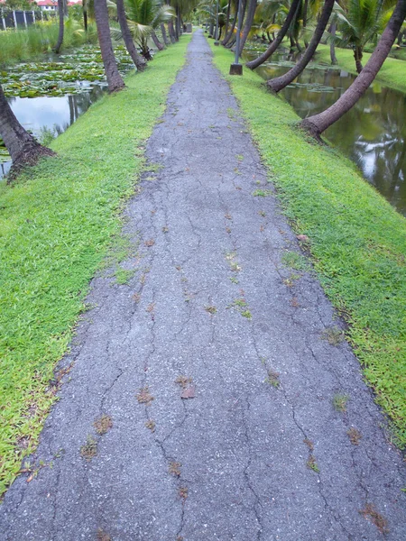 庭の道 — ストック写真