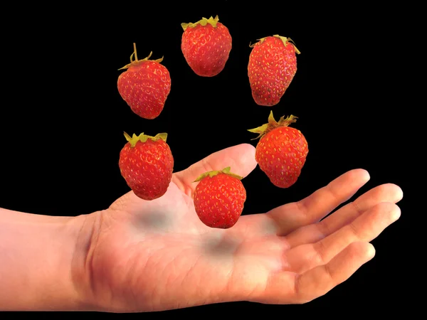 Six berries over a palm — Stock Photo, Image