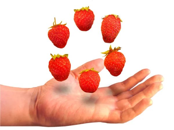 白い背景の上を手のひらの上の六つの果実 — ストック写真