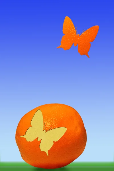 Naranja y la mariposa contra el cielo —  Fotos de Stock