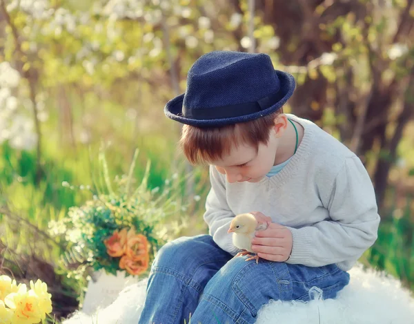 The boy with a chicken — Stock Photo, Image