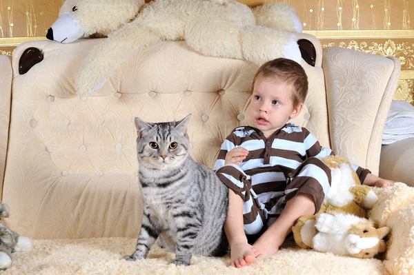 De jongen en kat — Stockfoto