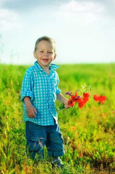 El chico en el campo de los colores — Foto de Stock