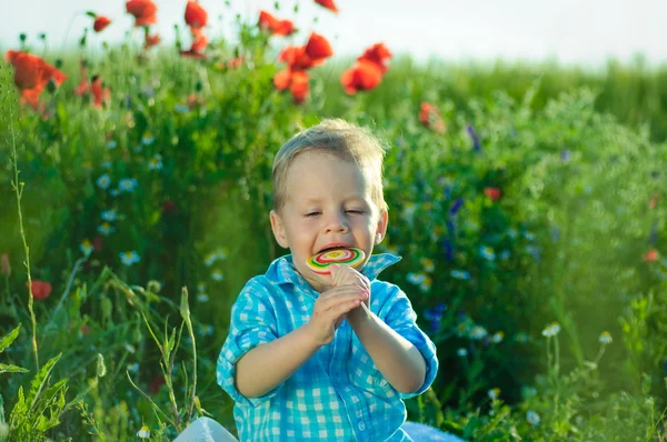 Мальчик в поле цветов — стоковое фото