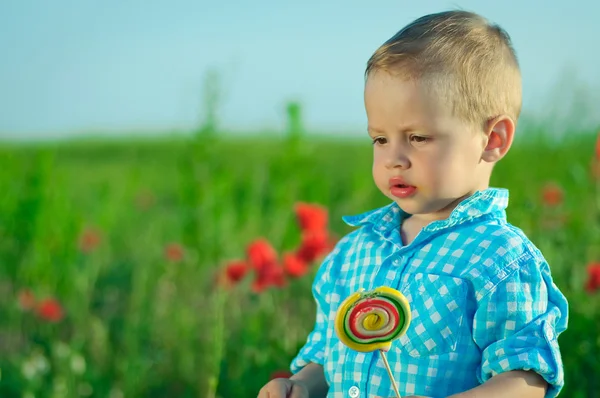 Der Junge im Feld der Farben — Stockfoto