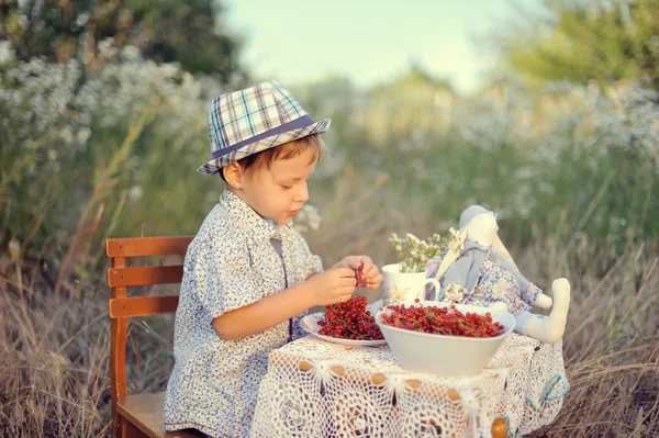 Çocuğun piknik — Stok fotoğraf