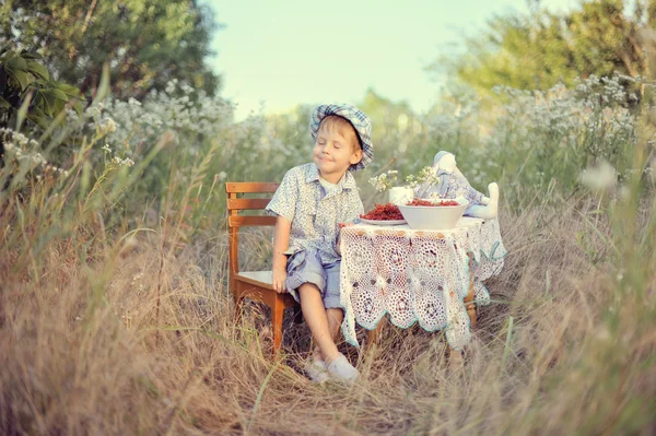 Picknick van het kind — Stockfoto