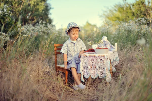 Piknik dítěte — Stock fotografie