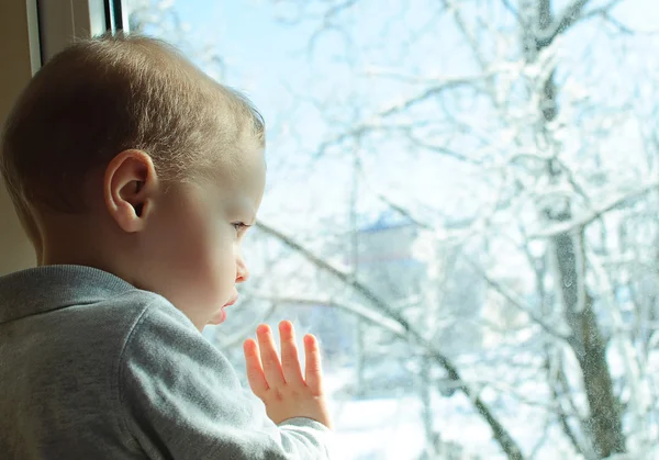 Inverno dietro una finestra — Foto Stock