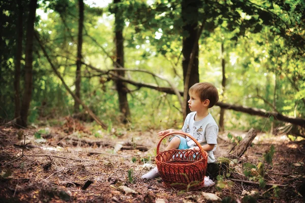 Chlapec v lese — Stock fotografie