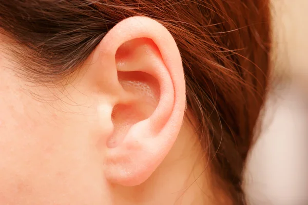 L'orecchio — Foto Stock