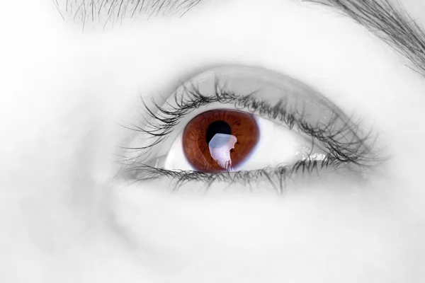 大きな大きな茶色の目 — ストック写真