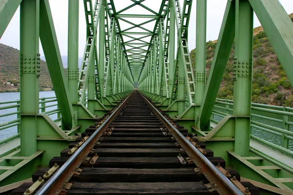 stock image Rail train on a bridge