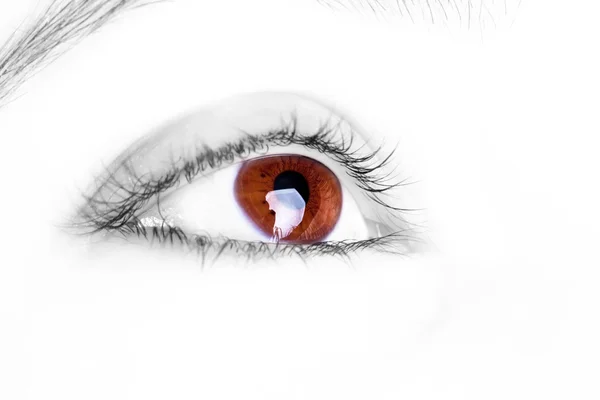 Wielkie wielkie oko brązowe — Zdjęcie stockowe