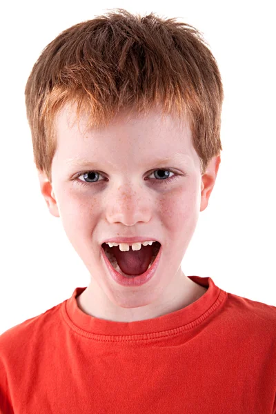 Cute Boy, screaming — Stock Photo, Image