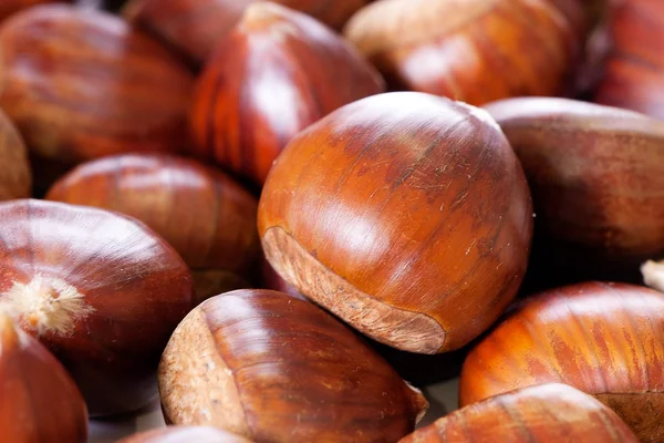 stock image Hazelnuts