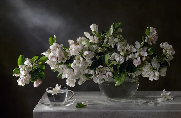 Still Life with a branch of apple and a cup — Stock Photo, Image