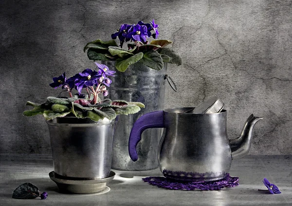 Stilleven met een thee-pot en violet — Stockfoto