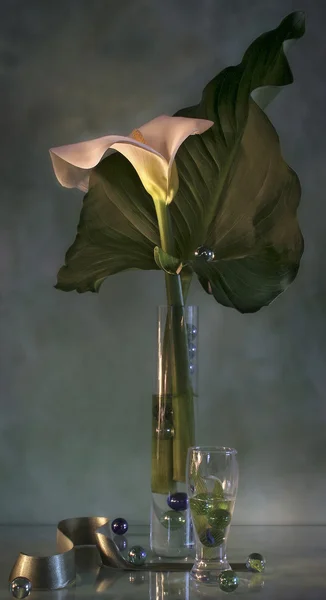 Bodegón con una flor y cinta —  Fotos de Stock