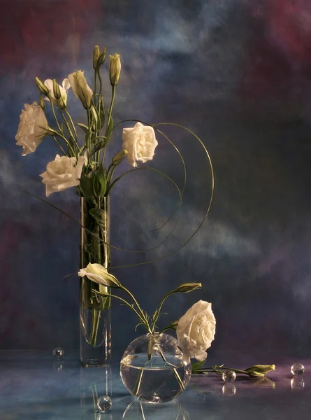 ベルアミ色のある静物 ロイヤリティフリーのストック写真