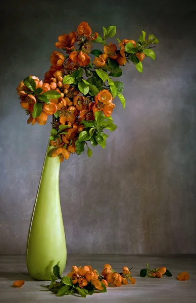 Still Life with a blossoming branch — Stock Photo, Image