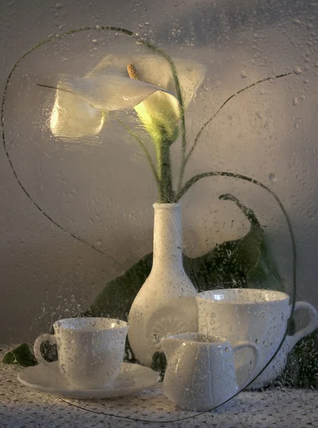 Stillleben mit weißer Blume lizenzfreie Stockfotos