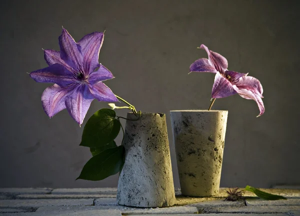 静物与一朵紫色的花 — 图库照片