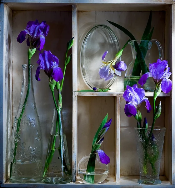 Mavi çiçekler ile raf — Stok fotoğraf