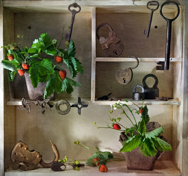 Shelf with old keys — Stock Photo, Image