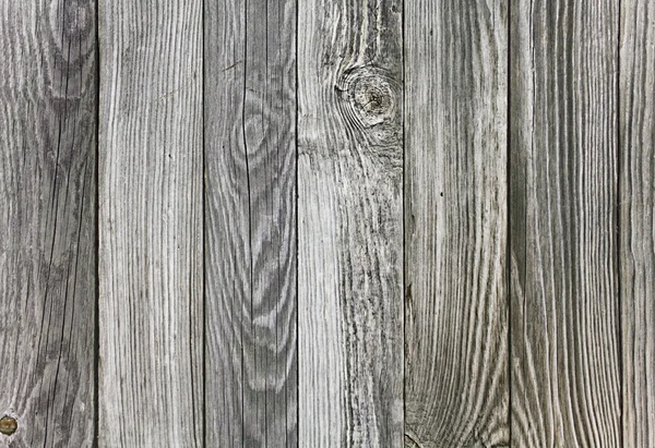 stock image Gray textured wood