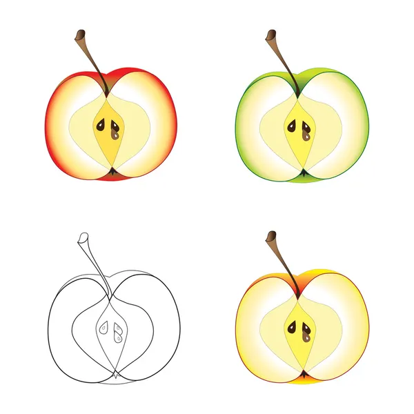 Zestaw połówki jabłka — Wektor stockowy