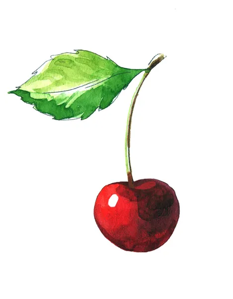 Słodki wiśniowy — Zdjęcie stockowe
