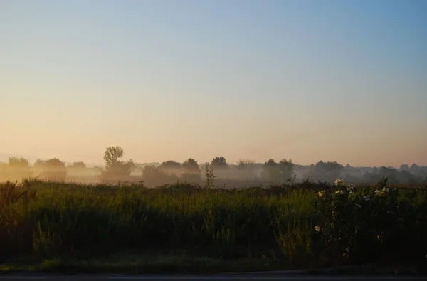 Nebbia in raggi di un sole nascente sopra un campo a un ciglio della strada Immagine Stock