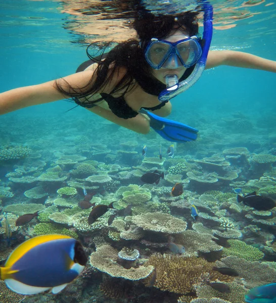 Young woman swimming with fishes on coral reef in blue water — Stock Photo, Image